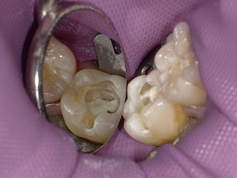 2018-02-03 110618_Std.JPG